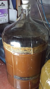 After a couple of days, the fermentation calmed down. In a few more days it'll be ready to move to a smaller secondary fermentor.