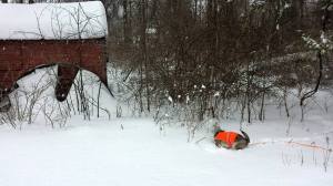 Throwing snowballs at the red shed.