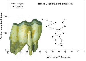 A technical drawing showing isotopic data and the specimen that it came from.