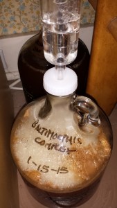 Baltimorphic Complex