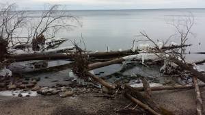 The beach is a little icy.