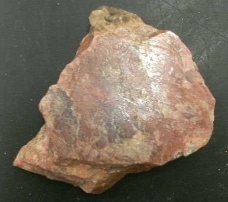 Slightly darker plagioglase.