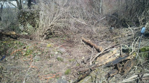 While waiting for the JawSaw to come back... The open ground in the foreground had had several 3-4 inch diameter sumacs growing in the middle of it.