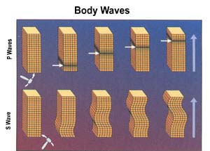 P-waves (top) and S-waves (bottom) moving through a substance from bottom to top. Credit: USGS