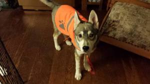 When we first tried it on.