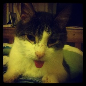 63660_10100129812371798_648483671_n