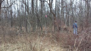 I just really like this little corner.