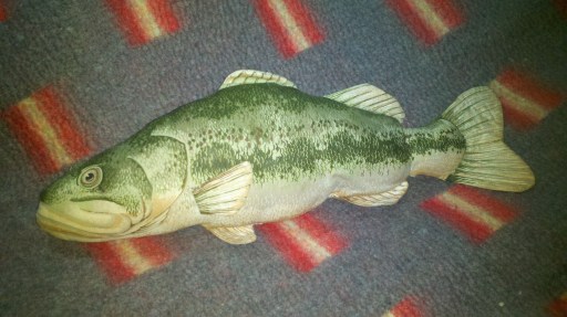 Biff Bass, chillin' on the bed.