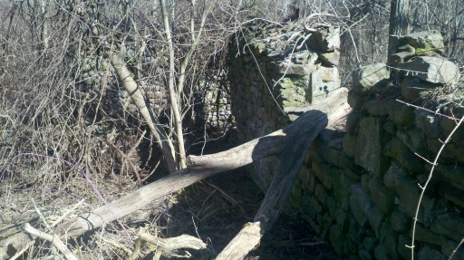 A big tree trunk laying on an old window sill. It had clearly been cut and just tossed there. My new axe came in handy...