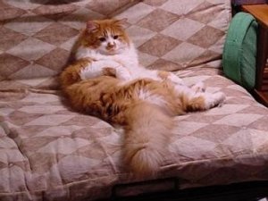 Made himself right at home.