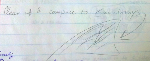 My sketch of Xanclomys reminding myself to compare it with Fractinus