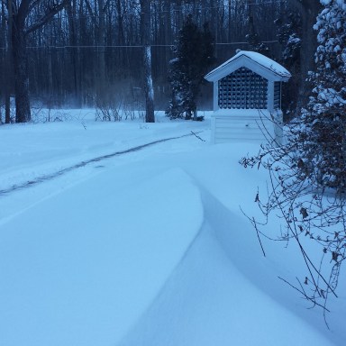 And after I finally got the driveway open again at 8:00 am.