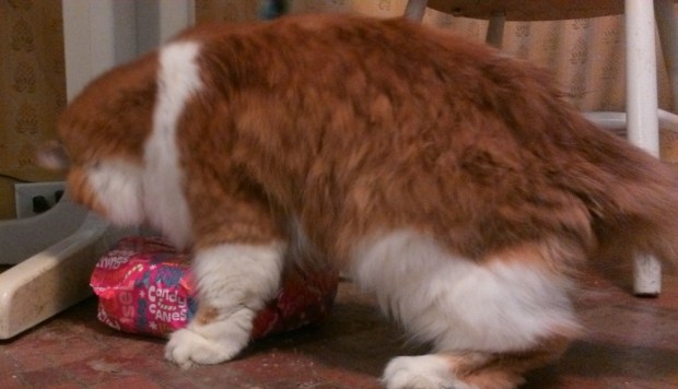 WIN_20131225_084510 (2)