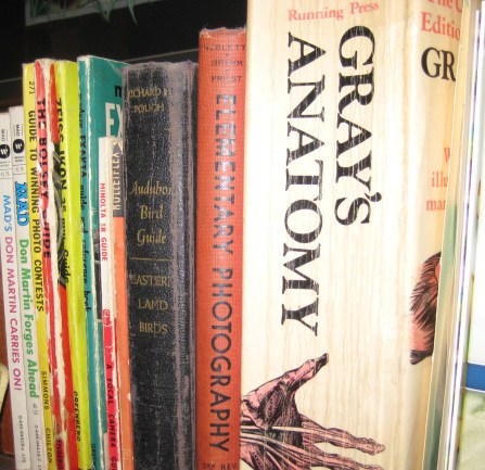This little row has my favorite, abused, paperback copy of Gray's Anatomy. I started reading it in middle school. That explains a lot...