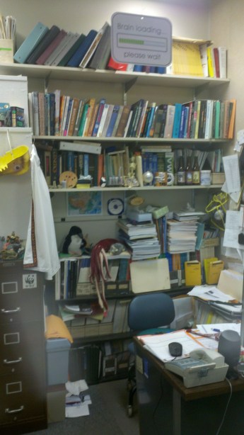 I always kind of hope these shelves never collapse. It wouldn't be home without stuffed animals and my 'brain loading' sign.