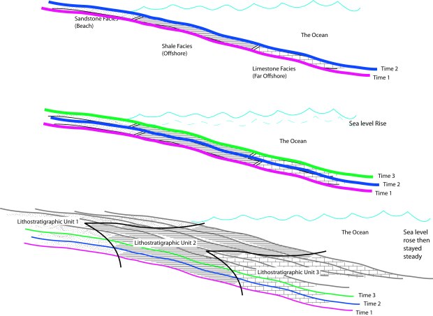 Cartoon showing how time lines (purple, blue, green) can relate to different facies or formations (labeled lithostratigraphic units; denoted with patterns)