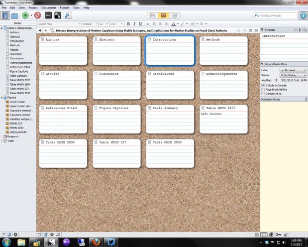 'Cork board' view of my current manuscript.