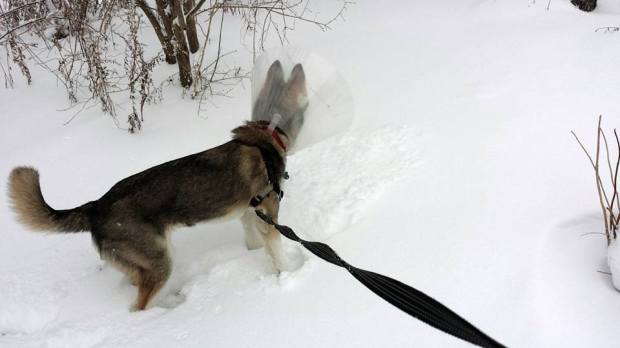 After a practice shot.