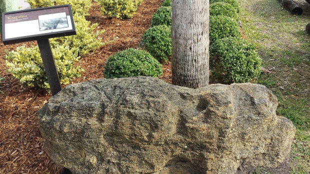 We saw some local geology.