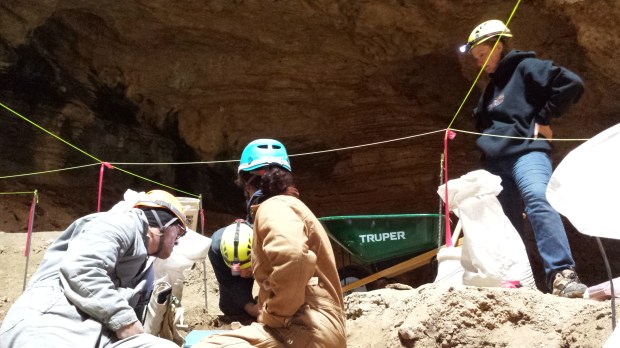 While Cory works, the rest of us supervise.