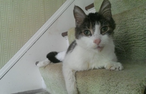 WIN_20140128_150827 (2)