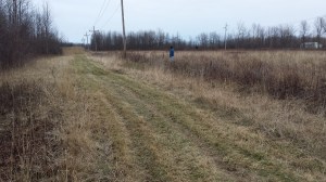 Outstanding in his field.