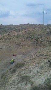 This collecting site is called the 'Flower Bed' because we found a fossil flower there.