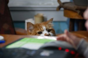 Always observant and helpful.