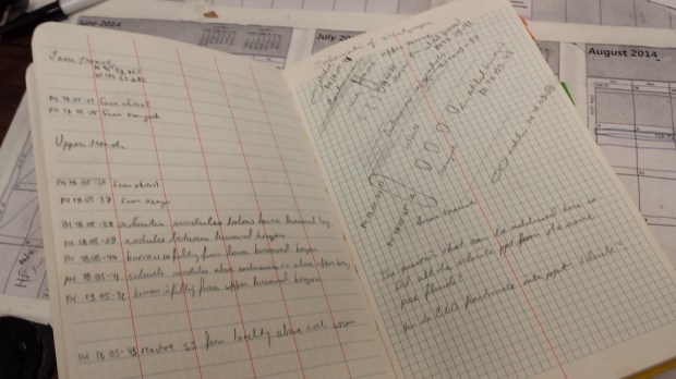 Some of my field notes from 2005. 