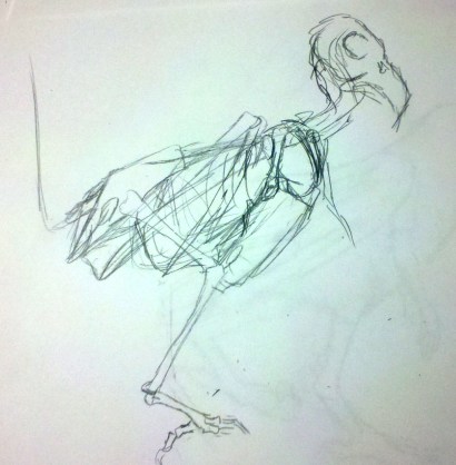 It's really, really sketchy, but this is an improved skeletal drawing.